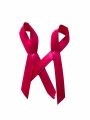 Bild 5 von Pink Ribbon Schleife (die.pink.Charity)  / (Mengen) 100